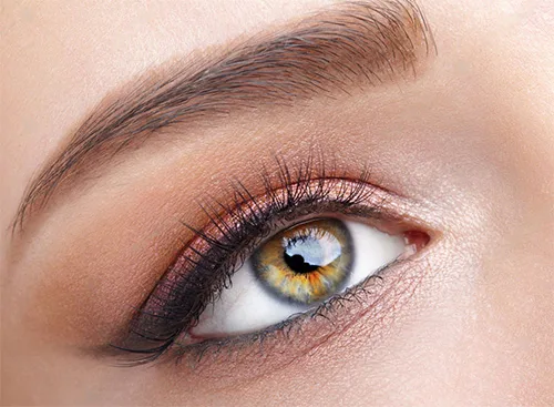 Beautiful eyebrow lamination results