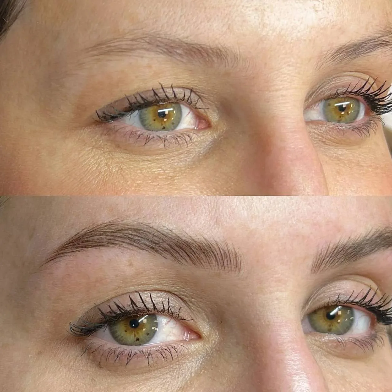 Before and after eyebrow lamination results